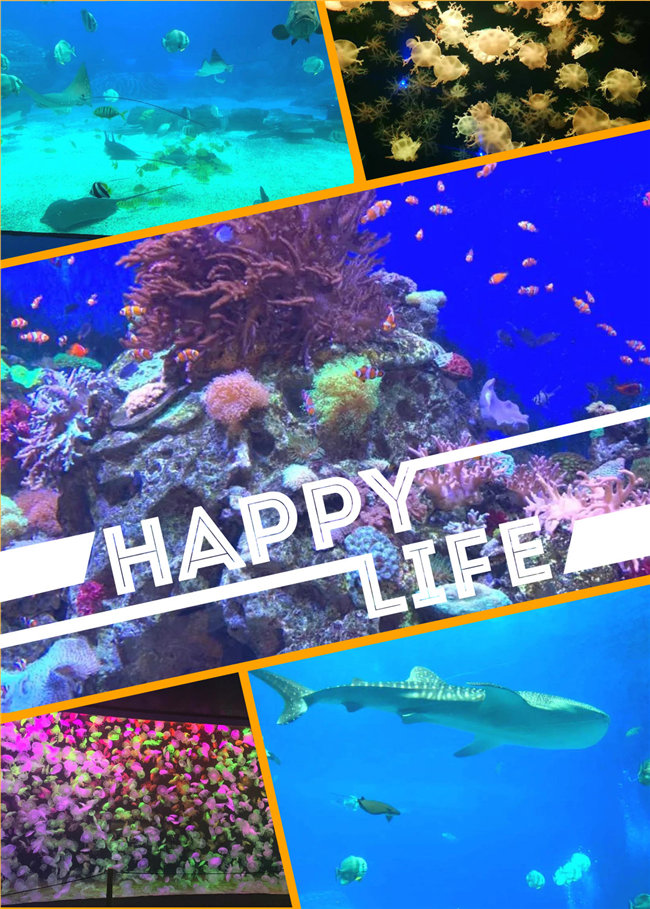 廣東博皓親子游：珠海長隆海洋王國，探索海洋生物的奧秘，奇妙的動物世界