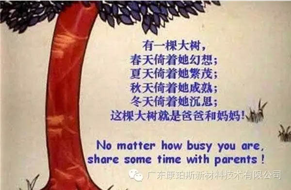 樹就是我們的父母！請愛護(hù)你們身邊的這棵樹！