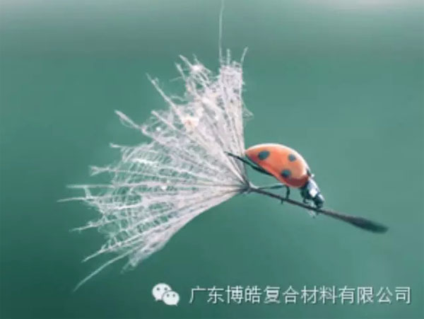 【博皓感悟】成功，要“借力”，不要“盡力”